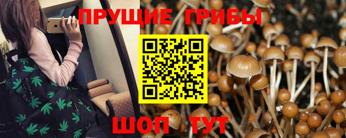 Батайск  Галлюциногенные грибы мухоморы  Галлюциногенные грибы GOLDEN TEACHER  Вход с VPN 